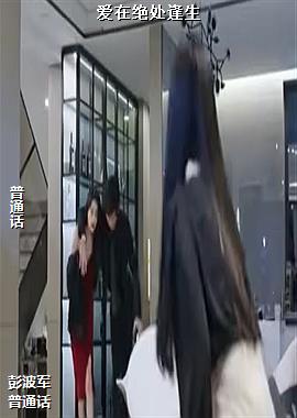 ���ھ�������