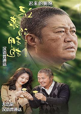 作者(风和日丽的灰色)头像